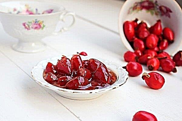 A tasty and simple recipe for jam from rose hips, useful properties