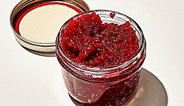 Raspberry jam for the winter: a simple recipe, the best recipes for winter preparations, storage features