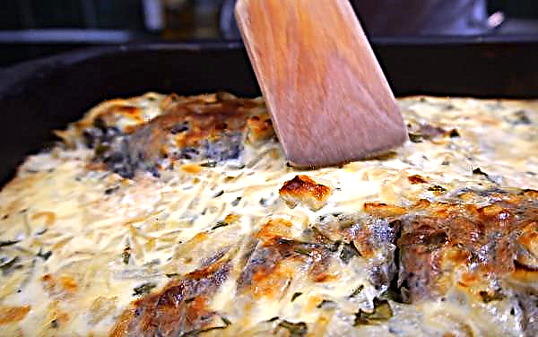 Crucian i ugnen: hur man bakar hela grönsaker med en gyllene skorpa, hur man lagar läckra fylld fisk, hur mycket kokas i tid