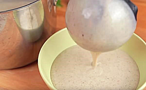كيفية صنع حساء شوربة الفطر اللذيذة: وصفة بسيطة خطوة بخطوة مع صورة