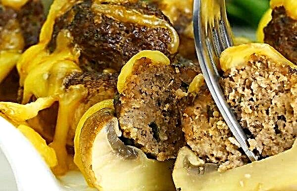 How to cook a delicious stuffed champignon in the oven as a whole, a simple and step by step recipe with a photo