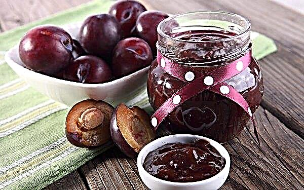 Plum jam: nutritional value, benefits and harms, the best recipes with photos