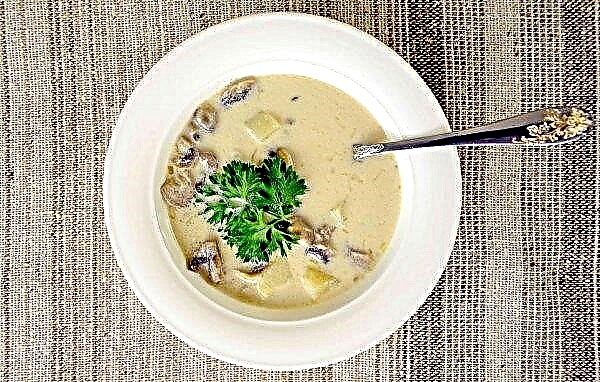 Sup jamur terbuat dari jamur beku dengan krim, ayam dan keju, bacon, dan bawang putih