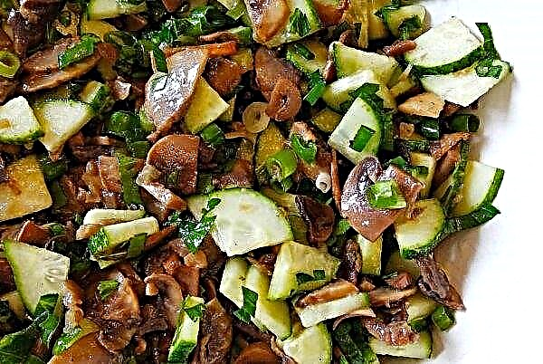 Salad of pickles and pickled champignons: a simple step-by-step recipe for cooking with a photo