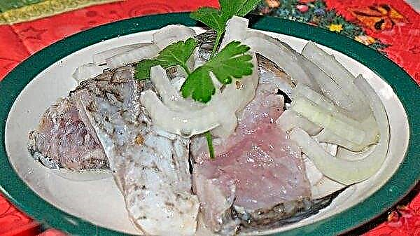 Crucian herring: how to pickle fish at home, marinade recipe, how to make big fish