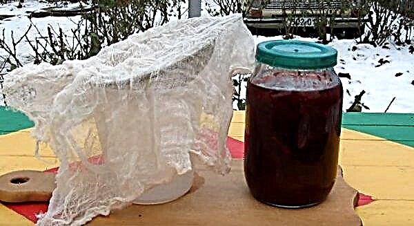 Cranberry pouring: resep sederhana untuk memasak di rumah dengan foto