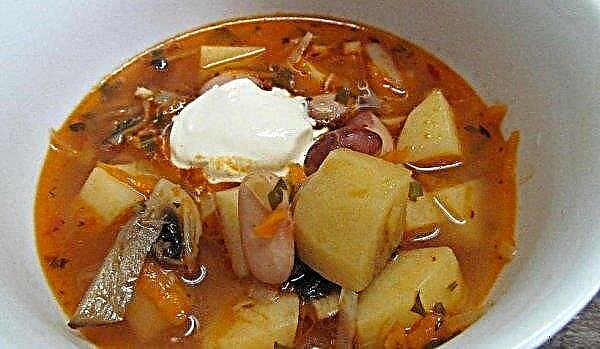 Sopa de col con champiñones y col fresca: recetas sin carne, con carne, magra