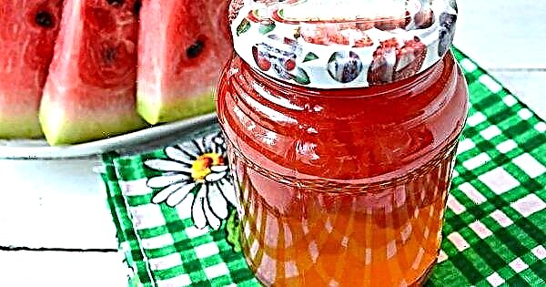 Watermeloencompote voor de winter in potten van drie liter: recepten
