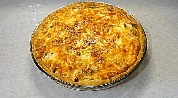 Chanterelle pie, simple step by step recipe for cooking with photos
