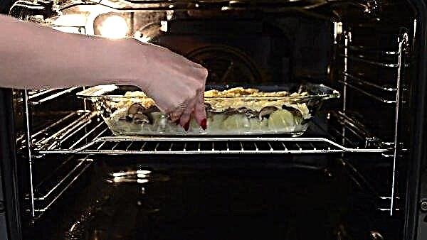 Batatas assadas com cogumelos e queijo no forno: receitas simples passo a passo com fotos