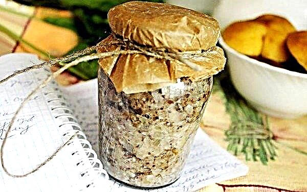 Caviar de senos frescos y salados: recetas para el invierno