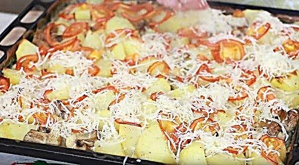 ما لطهي الطعام من الفطر والبطاطس - وصفات لذيذة