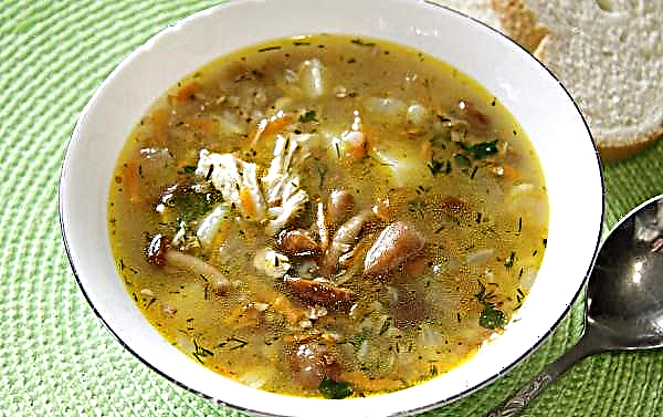 Tørket soppsuppe: en oppskrift med poteter, hvordan lage mat