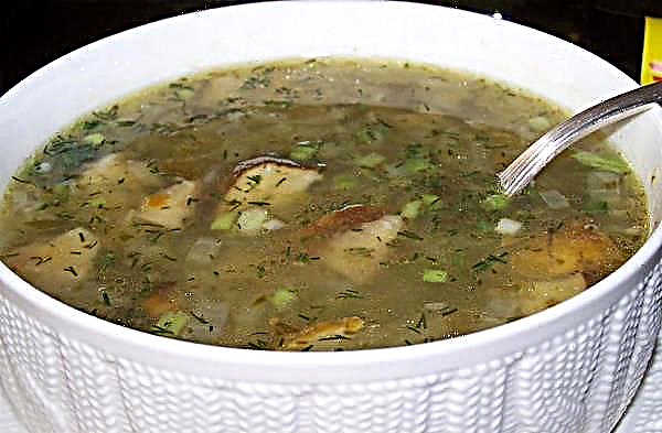 新鮮なポルチーニ茸のスープのレシピ：ジャガイモ、定番、冷凍キノコから、キノコ、春雨