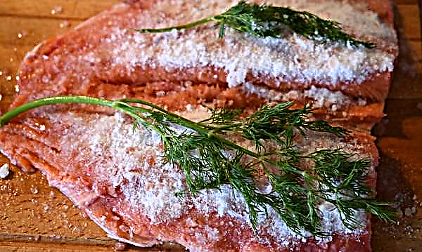 Saumon Saumon Saumon à la maison: une recette avec des photos étape par étape, comment saler et cuisiner un saumon saumon