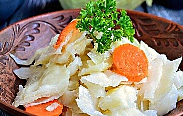 Pickled cabbage slices for the winter in jars, very tasty: recipes