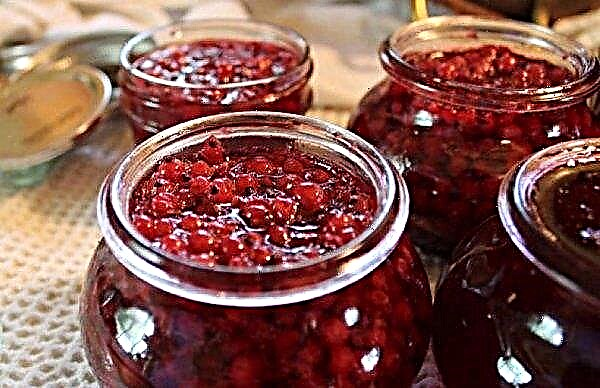 A simple recipe for pickled red currants, harvesting for the winter