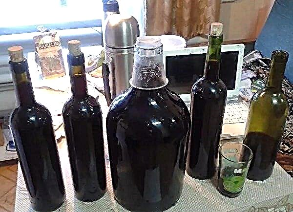 وصفة لصنع النبيذ من الجوز الأخضر الشاب في المنزل