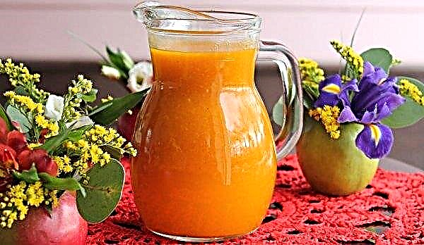 Sea buckthorn juice for the winter: through a juicer, a recipe from frozen sea buckthorn, how to cook at home