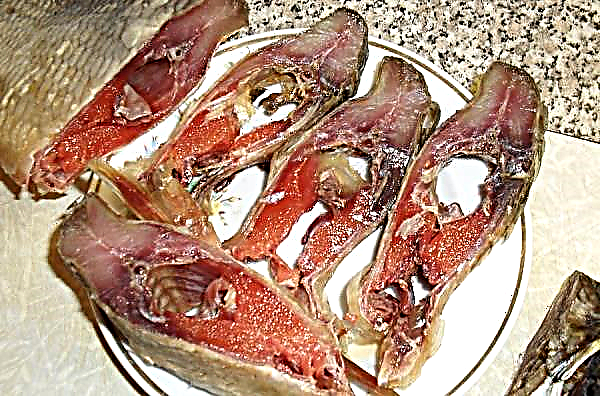 Comment saler une dorade à la maison est délicieux et rapide: le moyen le plus simple, comment saler pour le séchage, comment bien saler le poisson pour le sécher dans la saumure