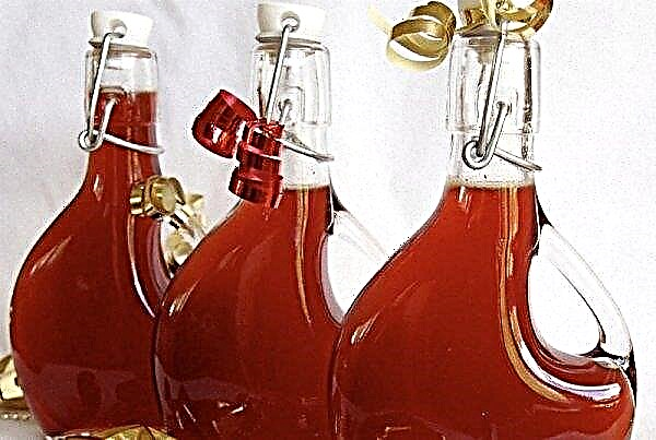 Cranberry wine at home: a simple recipe for how to do, step by step instructions