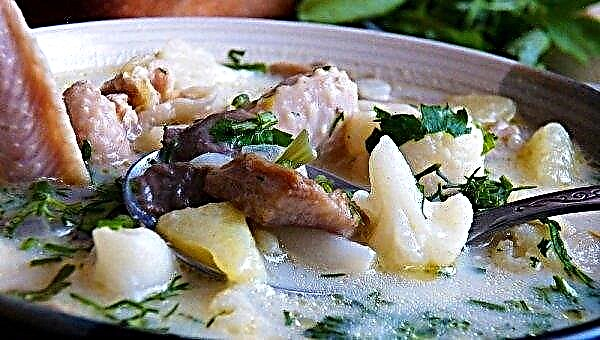 Sådan koges østers champignonsuppe med kartofler: en enkel og velsmagende trinvis opskrift med fotos