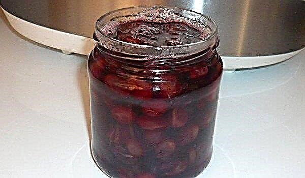 Jam from white grapes with a stone and without a stone for the winter at home: recipes