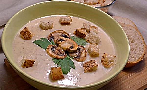 Como preparar sopa de champignon com batatas e creme, uma receita clássica passo a passo com fotos