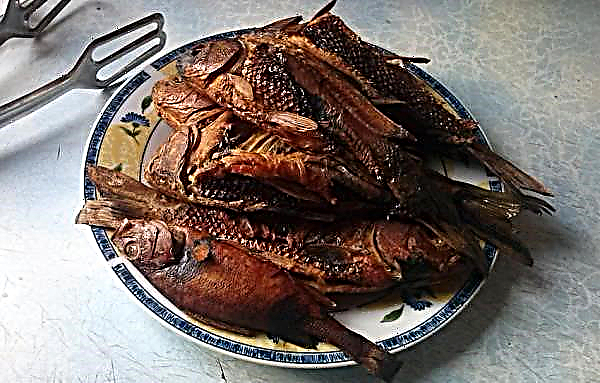 How to smoke crucian carp at home, how to salt for hot smoking, how much to smoke in time, cold smoked recipe