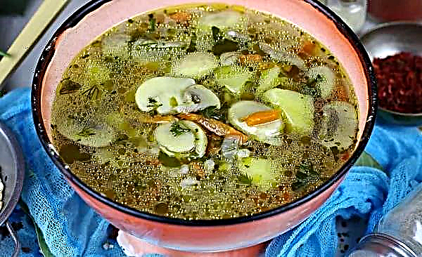 Cách nấu súp nấm đóng hộp với khoai tây, từng bước công thức