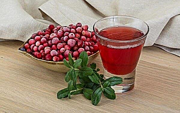 صبغة Lingonberry على القمر: أفضل وصفة في المنزل ، وخصائص مفيدة