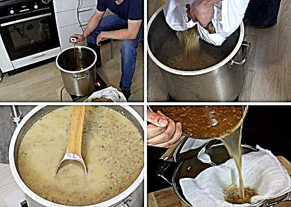 How to make wheat malt at home: do-it-yourself mash and moonshine recipe from wheat malt, how to sugar sugar to obtain a product