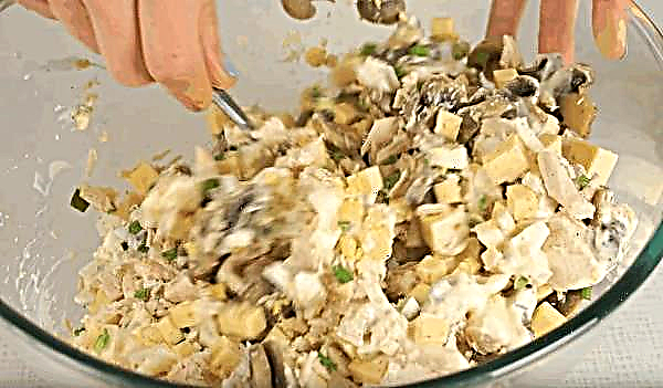 Ensalada de pollo con champiñones, queso, cebolla y huevos, una receta simple paso a paso para cocinar con una foto