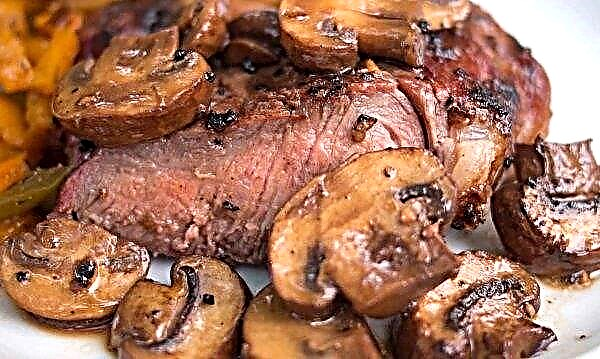 Beef with champignons: how to cook a dish, a simple step by step recipe with photos