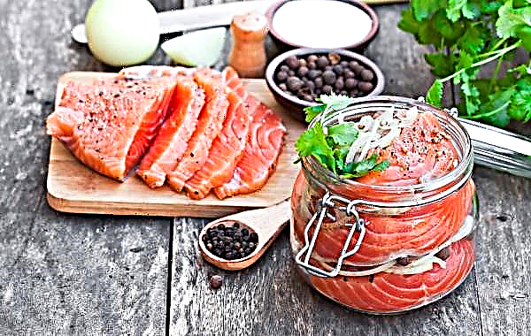Salmón chum salmón en casa: recetas simples paso a paso con fotos, cómo salar en aceite