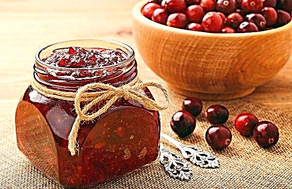 Cranberry dengan gula untuk musim dingin tanpa memasak: cara memasak, menggiling, resep, metode