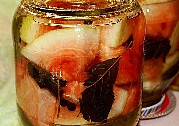 Görögdinnye üvegedényekben, citromsavval: a legjobb receptek az üregekhez, tárolási tulajdonságok