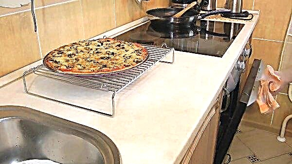 بيتزا مع الفطر: وصفة بسيطة ولذيذة في المنزل ، طهي في الفرن