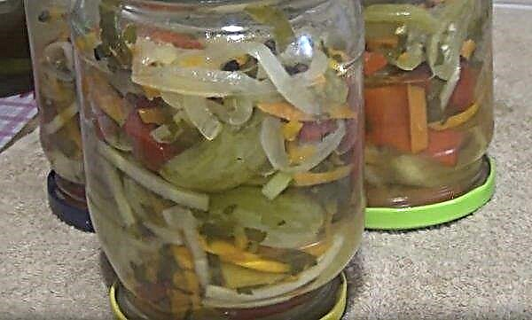 Brown fermented, pickled tomatoes for the winter without sterilization: homemade recipes
