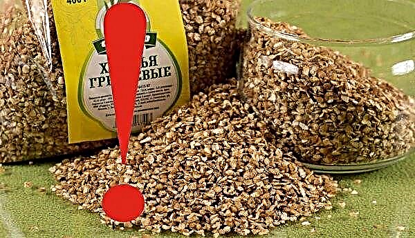 Fulgi de hrișcă: beneficii și rău organismului uman, conținutul de calorii, este mai util cerealele, se folosește într-o dietă pentru pierderea în greutate