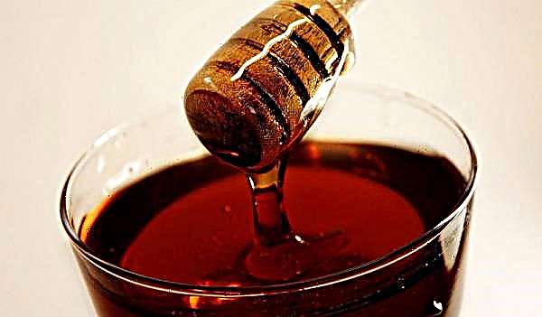 Trigo sarraceno como planta de mel: uma característica a que temperatura o néctar é liberado, quanta quantidade de trigo mourisco floresce para a coleta de mel, quantos quilogramas por hectare
