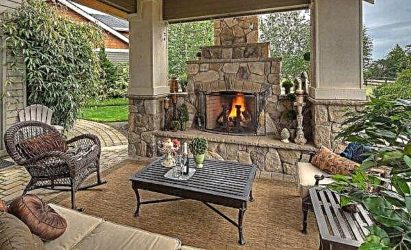 Gazebo with a fireplace: how to make a brick fireplace-grill with your own hands, the device of a warm gazebo with a barbecue step by step, photo