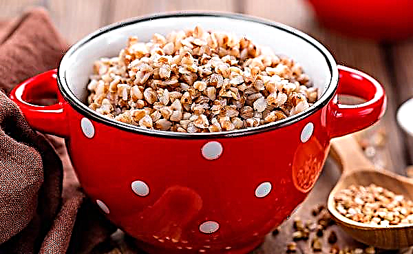 Is buckwheat possible with food poisoning or after it: an adult or a child, after vomiting, contraindications, how to cook porridge for consumption