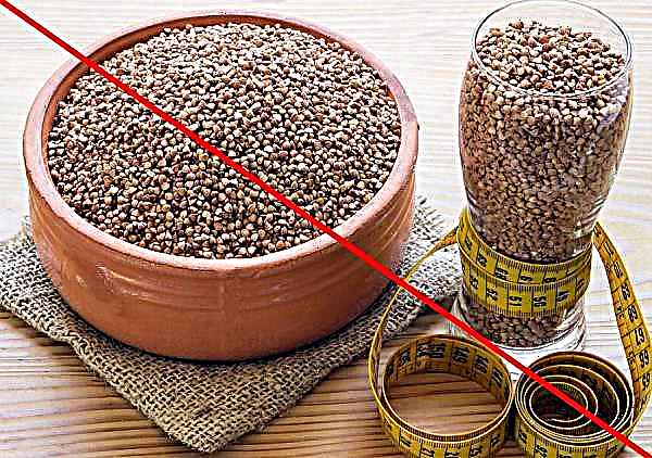 Buckwheat diet for 10 days: menu, advantages and disadvantages, what may be the results, contraindications, how to get out of the diet