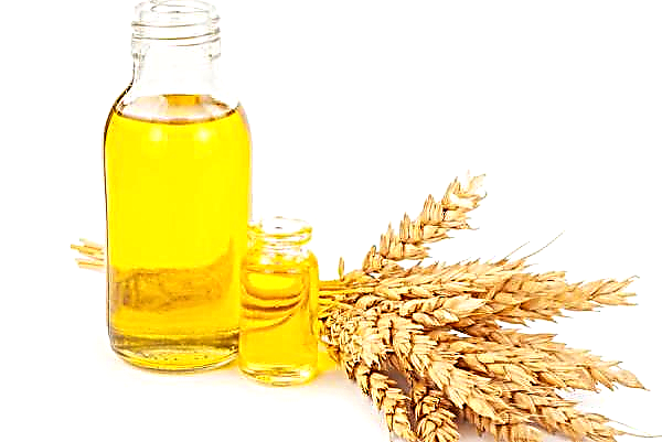 Aceite de germen de trigo para pestañas y cejas: reglas de uso, cómo usarlo en su forma pura por la noche, reseñas, fotos antes y después