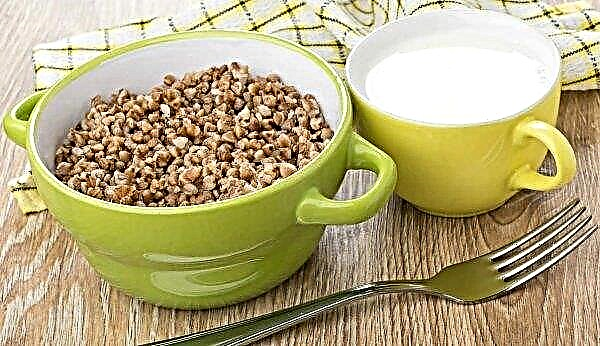 Buckwheat with kefir for weight loss: how and how many days you need to eat, benefits and harms, contraindications, how to cook correctly, diet