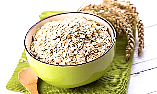 Oatmeal in case of poisoning: is it possible to eat during and after intoxication, cooking on water and the basic rules of the diet