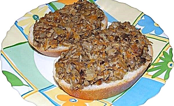 Caviar de cogumelos para o inverno: receitas através de um moedor de carne