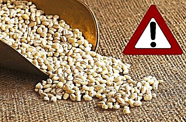 Barley and oats: what is the difference, how to distinguish grain, photo, is it the same or not, properties, benefits and harm, application