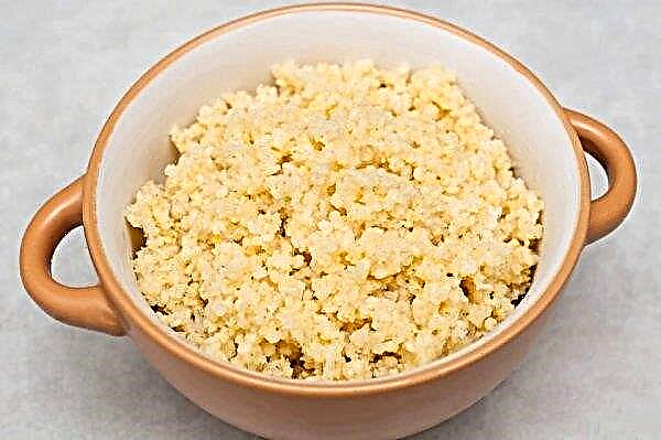 Millet for kidney treatment: beneficial properties and contraindications, health benefits and harms, how to treat with decoction and infusion, how to brew